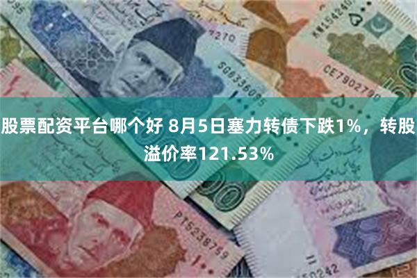 股票配资平台哪个好 8月5日塞力转债下跌1%，转股溢价率121.53%
