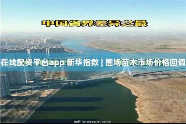 在线配资平台app 新华指数 | 围场苗木市场价格回调