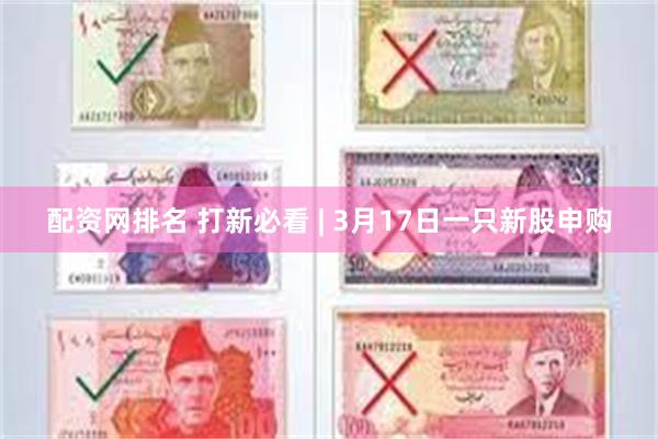 配资网排名 打新必看 | 3月17日一只新股申购
