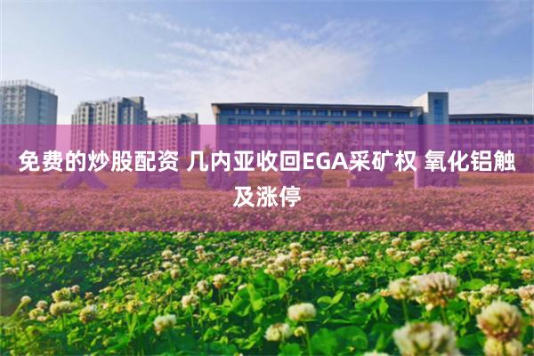 免费的炒股配资 几内亚收回EGA采矿权 氧化铝触及涨停