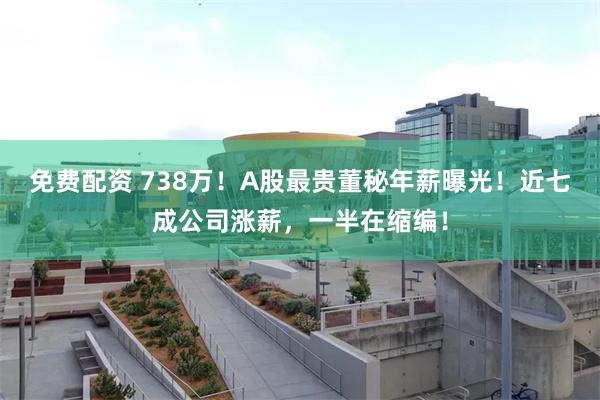免费配资 738万！A股最贵董秘年薪曝光！近七成公司涨薪，一半在缩编！