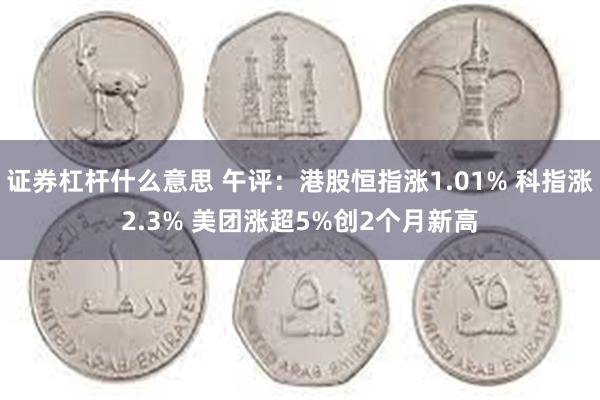 证券杠杆什么意思 午评：港股恒指涨1.01% 科指涨2.3% 美团涨超5%创2个月新高