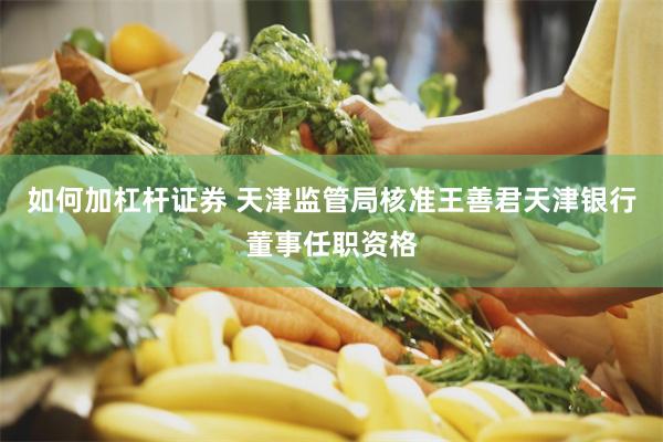 如何加杠杆证券 天津监管局核准王善君天津银行董事任职资格
