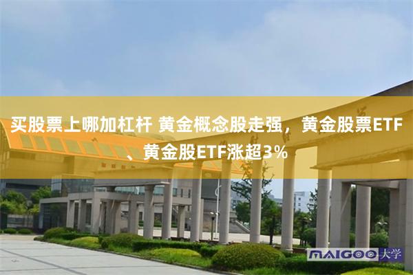 买股票上哪加杠杆 黄金概念股走强，黄金股票ETF、黄金股ETF涨超3%