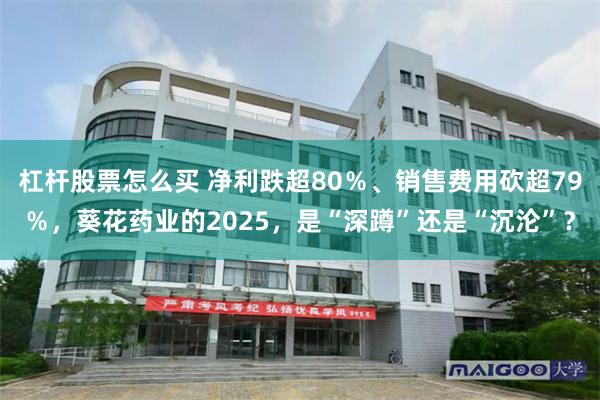 杠杆股票怎么买 净利跌超80％、销售费用砍超79％，葵花药业的2025，是“深蹲”还是“沉沦”？