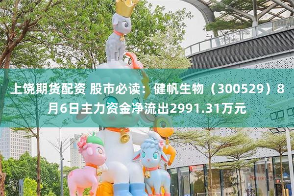上饶期货配资 股市必读：健帆生物（300529）8月6日主力资金净流出2991.31万元