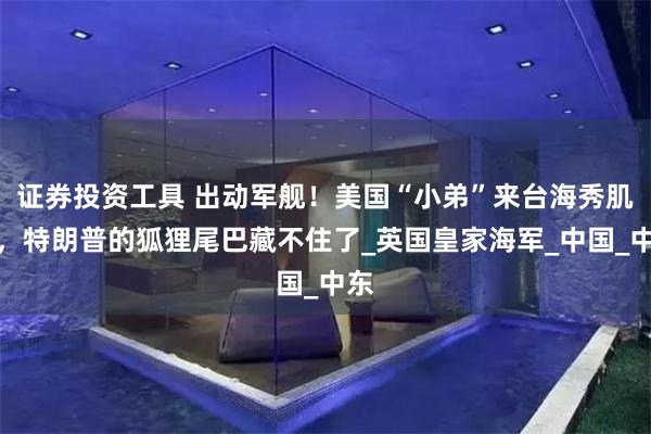 证券投资工具 出动军舰！美国“小弟”来台海秀肌肉，特朗普的狐狸尾巴藏不住了_英国皇家海军_中国_中东
