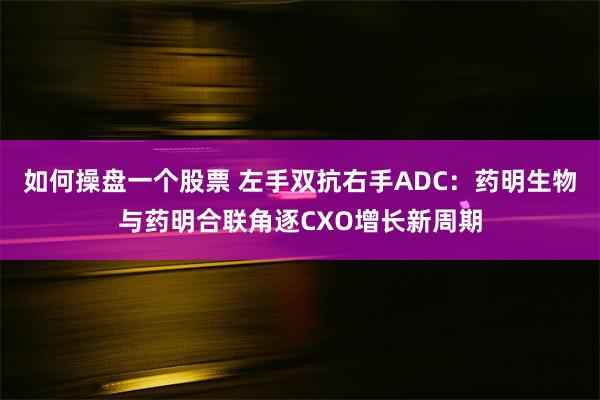 如何操盘一个股票 左手双抗右手ADC：药明生物与药明合联角逐CXO增长新周期